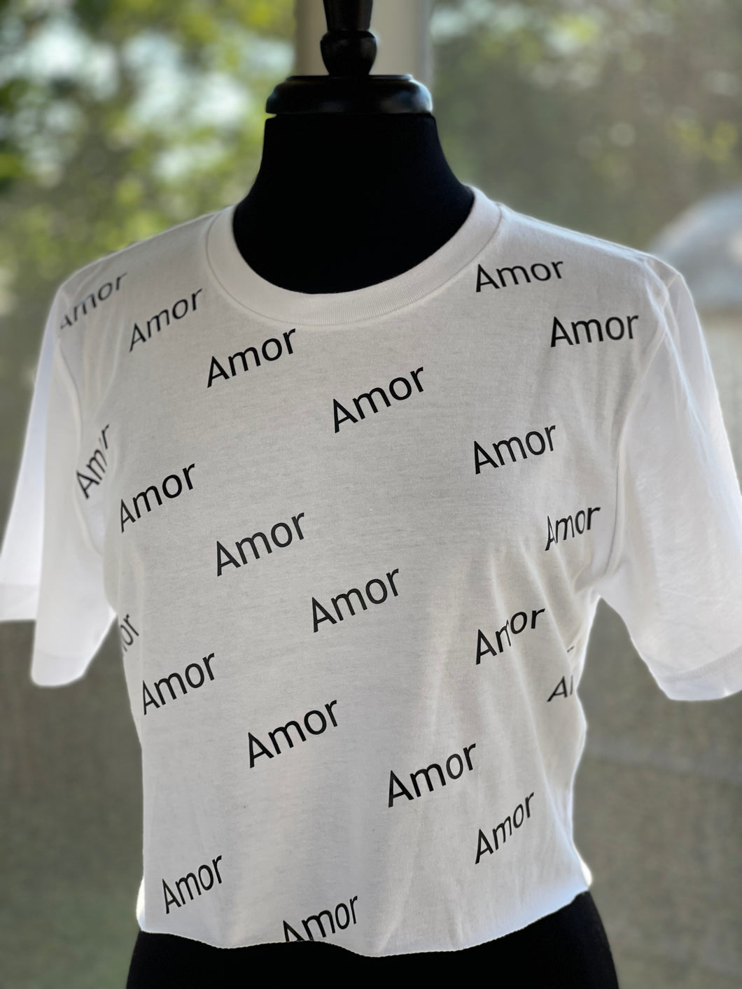 Amor Crop T-Shirt